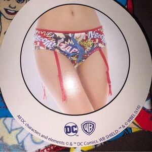 DC Comics Superhero Print Women’s Underwear with Garter Straps NWT